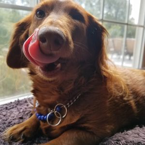 Meet your Posher, April